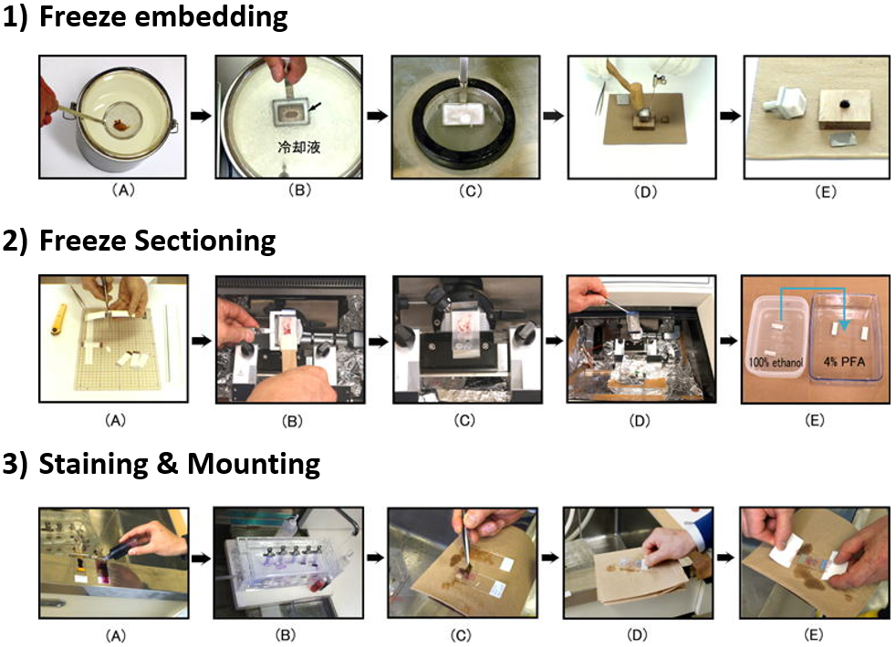 Cryofilmʹ�÷���